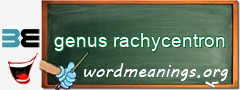 WordMeaning blackboard for genus rachycentron
